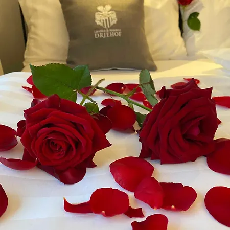 Driehof Lifestyle Comfort 4 * Tecklenburg