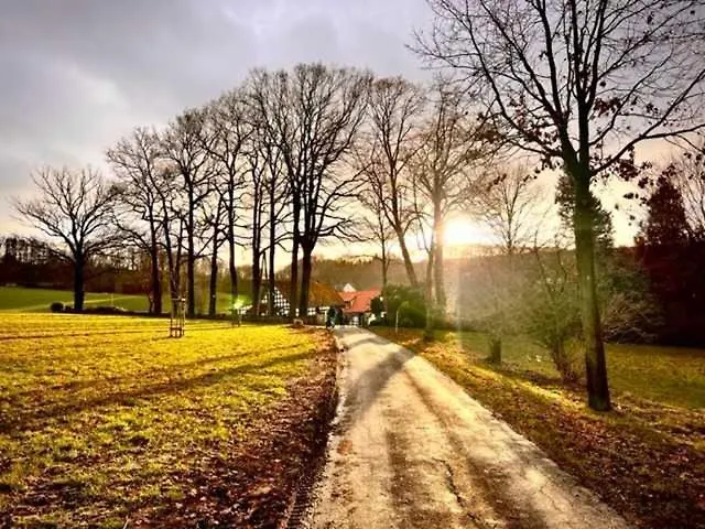 Driehof Lifestyle Comfort 4 Hotel *