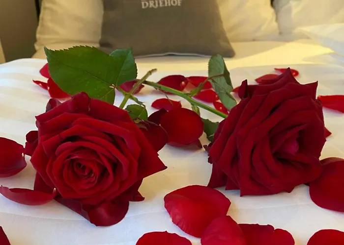 Driehof Lifestyle Comfort 4 * Tecklenburg